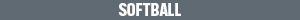 athlete_logo_gray_20x300_softball_copy.jpg